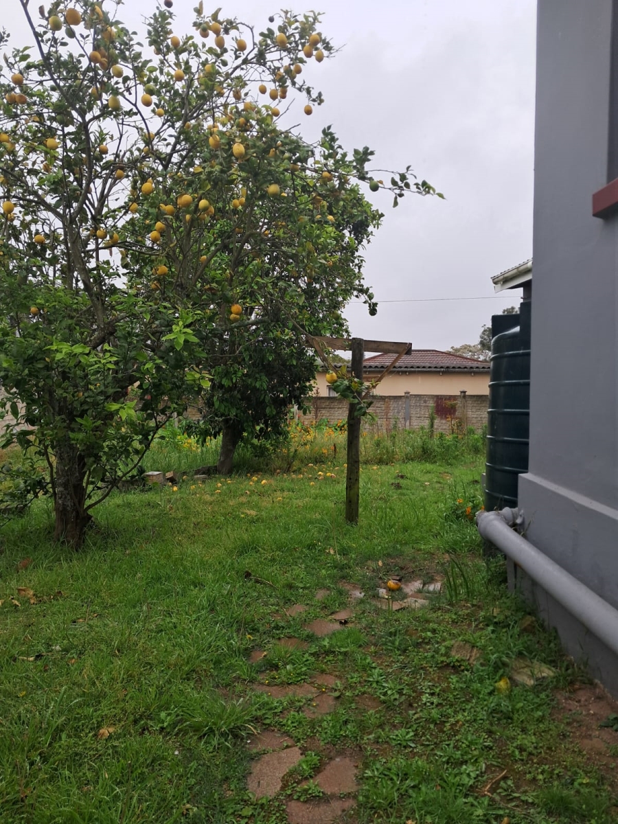 3 Bedroom Property for Sale in Alexandria Eastern Cape